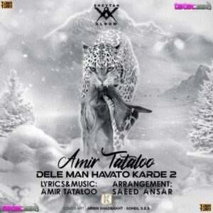 آهنگ دل من هواتو کرده 2 امیر تتلو